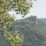 Nikoletta * Eleftheroupoli