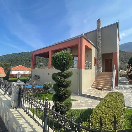 Nikoletta