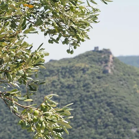 Nikoletta * Eleftheroupoli