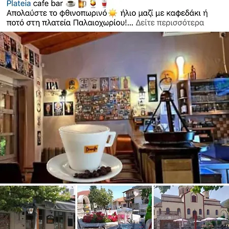 Nikoletta *