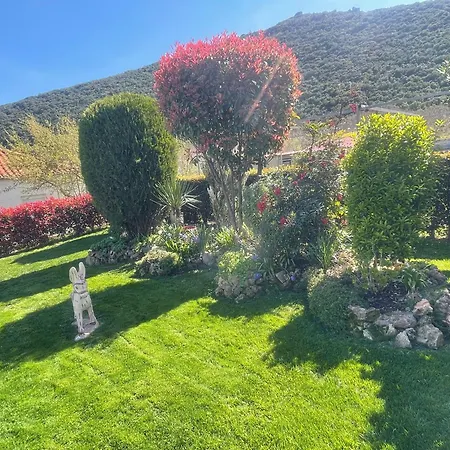 Nikoletta * Eleftheroupoli