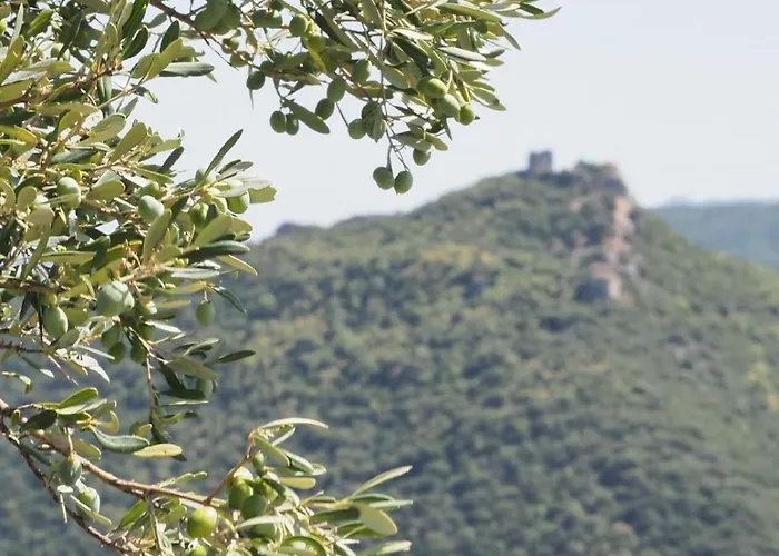 Nikoletta * Eleftheroupoli