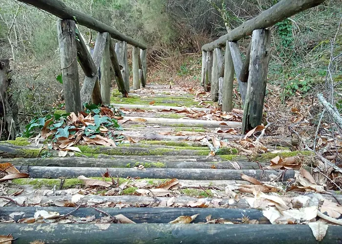 Nikoletta Eleftheroupoli