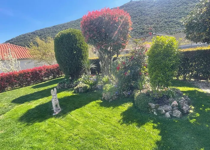 Nikoletta * Eleftheroupoli